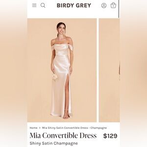 Birdy Grey Mia Convertible Dress in Shiny Satin Champagne